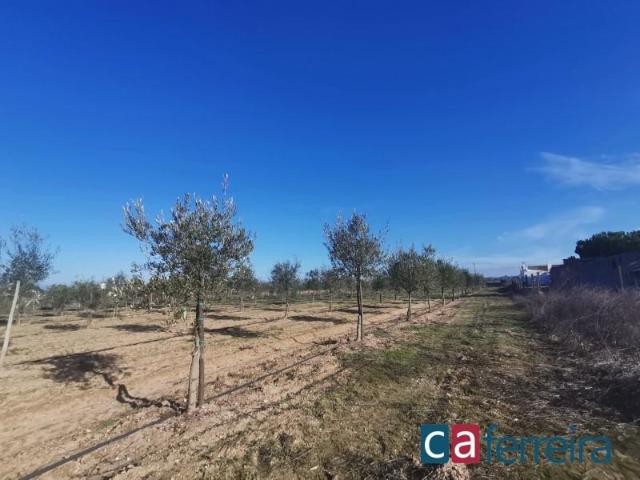 Terreno venda em Almeirim, Santarém