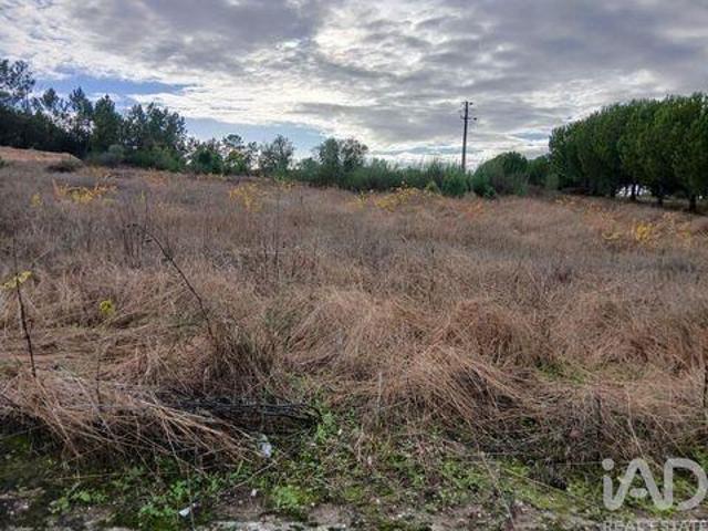 Terreno venda em Almeirim, Santarém