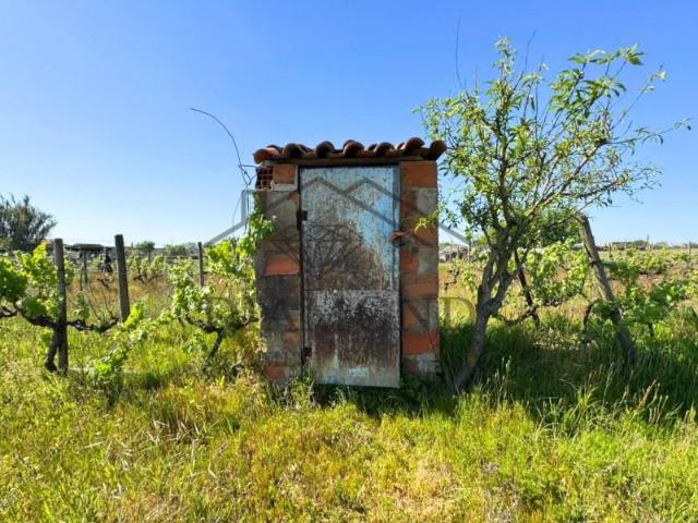 Terreno venda em Alpiarça, Santarém