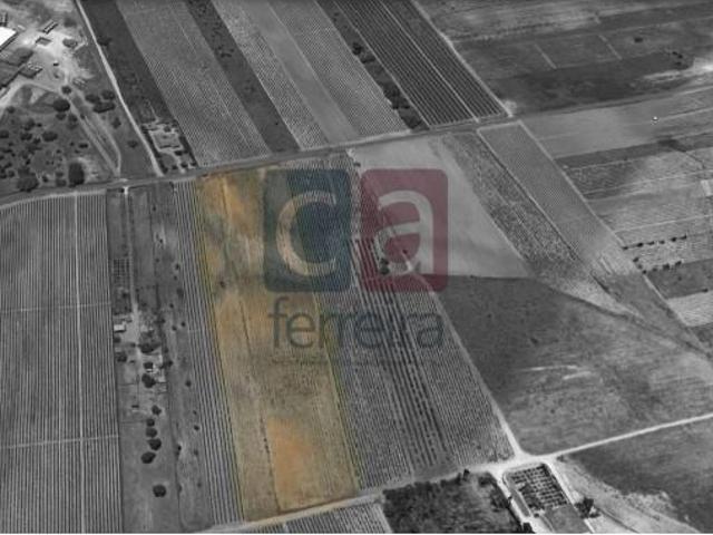 Terreno venda em Alpiarça, Santarém