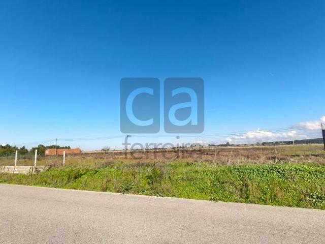 Terreno venda em Alpiarça, Santarém