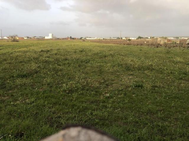 Terreno venda em Alpiarça, Santarém
