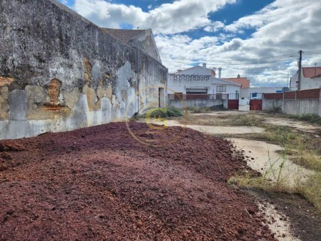 Terreno venda em Alpiarça, Santarém