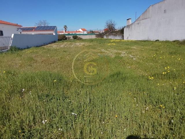 Terreno venda em Alpiarça, Santarém
