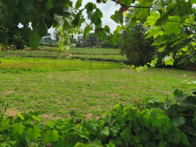 Terreno venda em Barral, Amarante