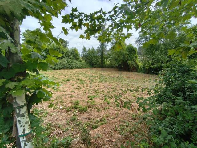 Terreno venda em Barral, Amarante