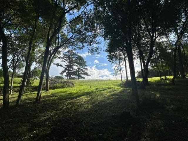 Terreno venda em Região Geográfica Imediata de Novo Hamburgo - São Leopoldo, Região Metropolitana de Porto Alegre