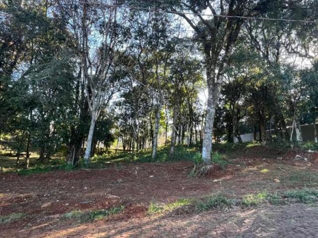 Terreno venda em Região Geográfica Imediata de Erechim, Barão de Cotegipe