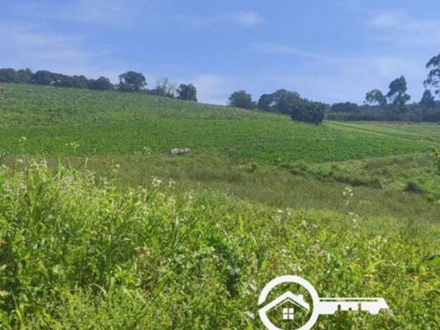 Terreno venda em Região Imediata de Sorocaba, Região Metropolitana de Sorocaba
