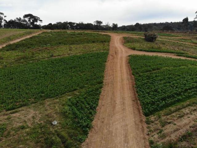 Terreno venda em Ibiúna