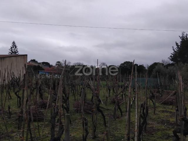 Terreno venda em Anadia, Aveiro
