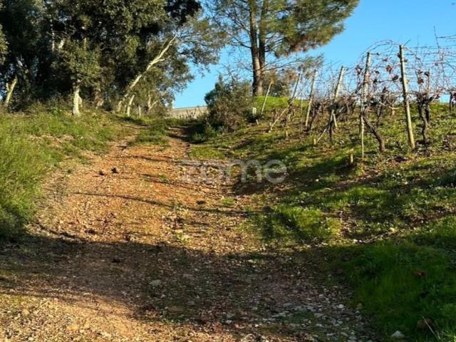 Terreno venda em Anadia, Aveiro
