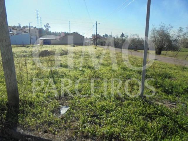 Terreno venda em Anadia, Aveiro