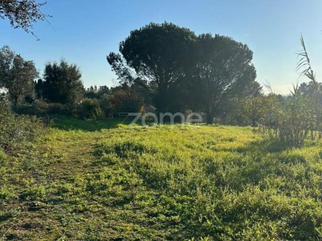 Terreno venda em Anadia, Aveiro