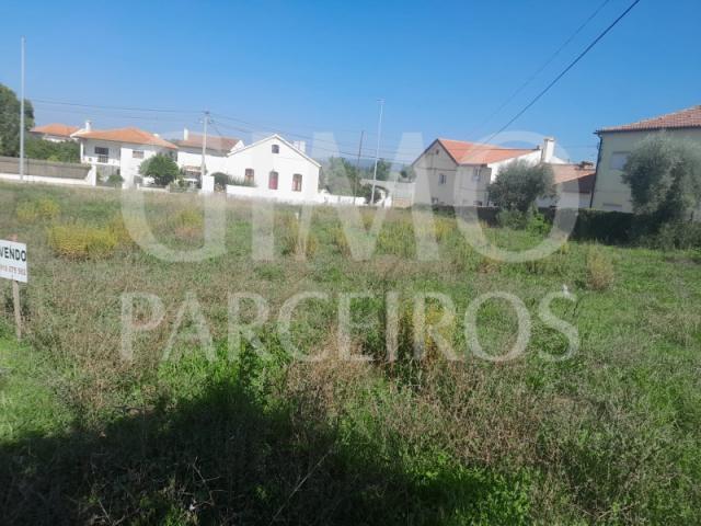 Terreno venda em Anadia, Aveiro
