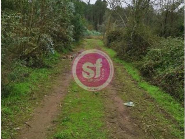 Terreno venda em Anadia, Aveiro
