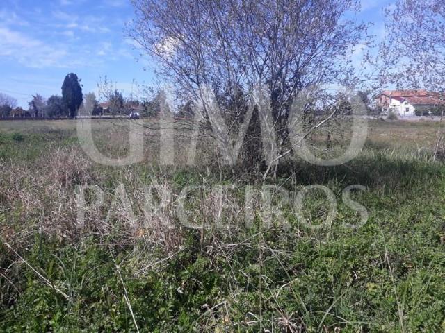 Terreno venda em Anadia, Aveiro