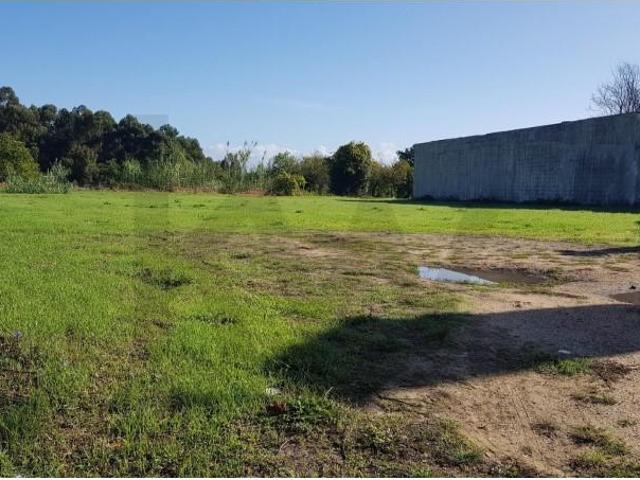 Terreno venda em Anadia, Aveiro