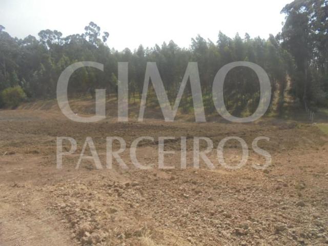 Terreno venda em Anadia, Aveiro