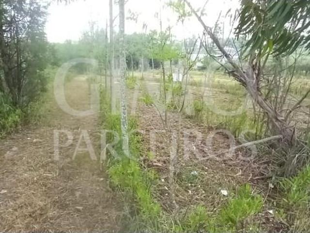 Terreno venda em Anadia, Aveiro