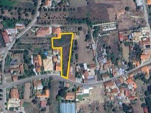 Terreno venda em Anadia, Aveiro
