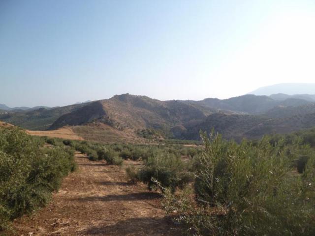 Terreno en venta en Sierra de Cádiz, Andalucía