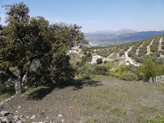 Terreno en venta en Iznájar, Andalucía