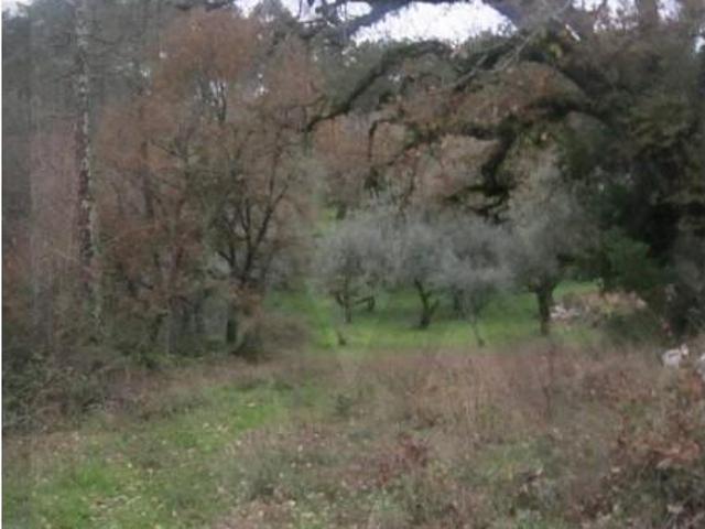 Terreno venda em Matos de Cima, Ansião