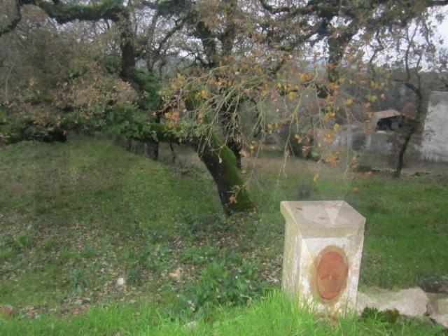 Terreno venda em Ansião, Leiria