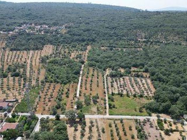 Terreno venda em Galegas, Ansião