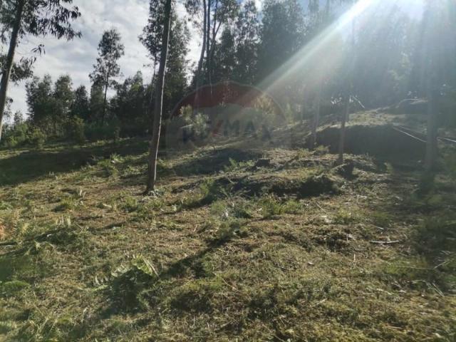 Terreno venda em Arcos De Valdevez, Viana Do Castelo