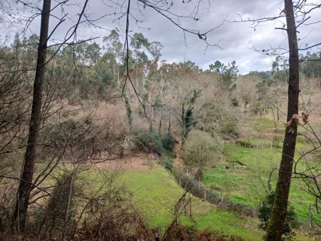 Terreno venda em Arcos De Valdevez, Viana Do Castelo