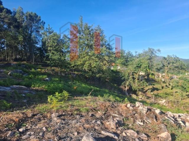 Terreno venda em Arcos De Valdevez, Viana Do Castelo