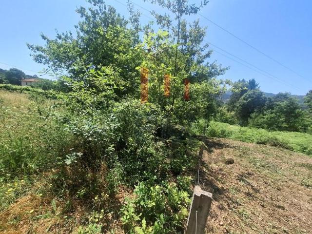 Terreno venda em Pogido, Arcos De Valdevez