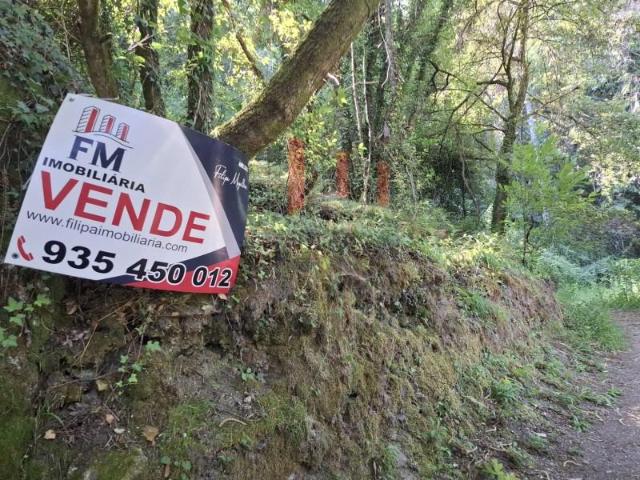 Terreno venda em Arcos De Valdevez, Viana Do Castelo