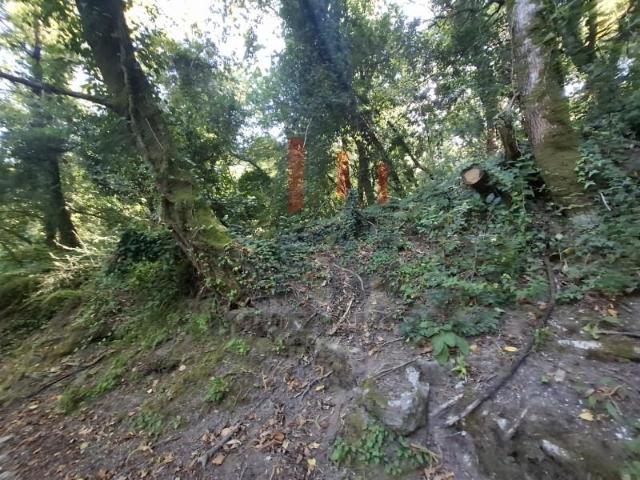 Terreno venda em Arcos De Valdevez, Viana Do Castelo