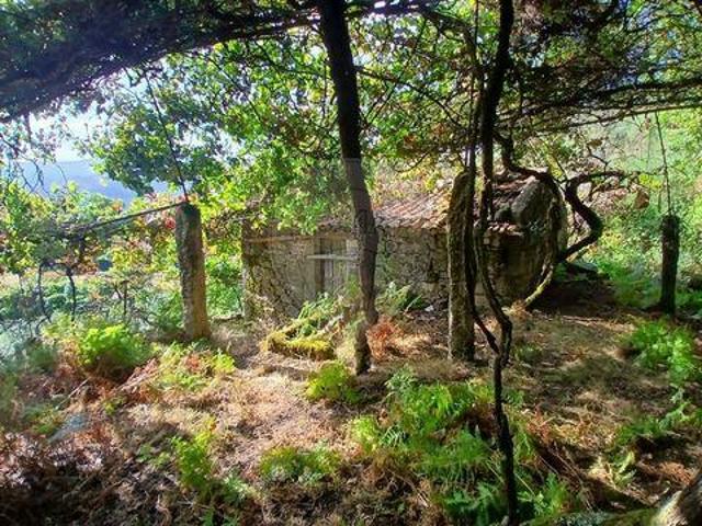 Terreno venda em Arcos De Valdevez, Viana Do Castelo