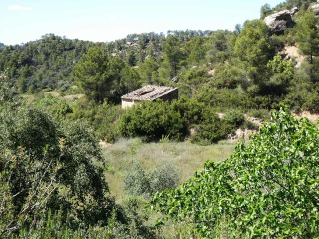 Terreno en venta en Matarraña / Matarranya, Arens De Lledó