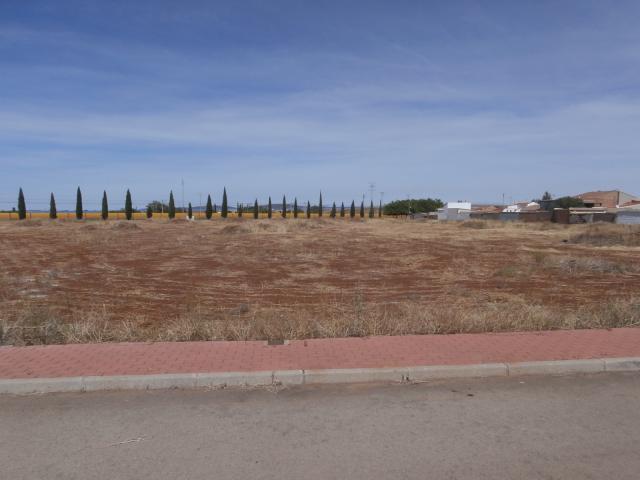 Terreno en venta en Argamasilla De Calatrava, Castilla-La Mancha