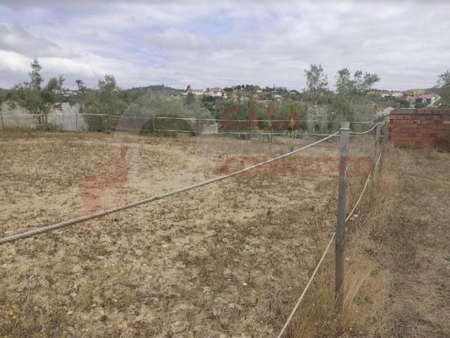 Terreno venda em Arganil