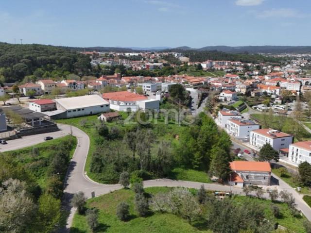 Terreno venda em Arganil