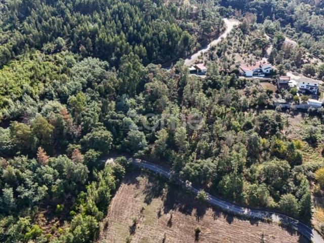 Terreno venda em Arganil