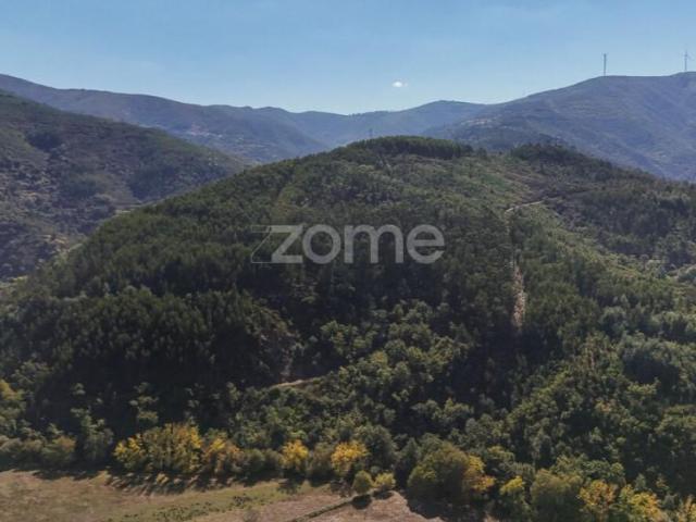 Terreno venda em Arganil