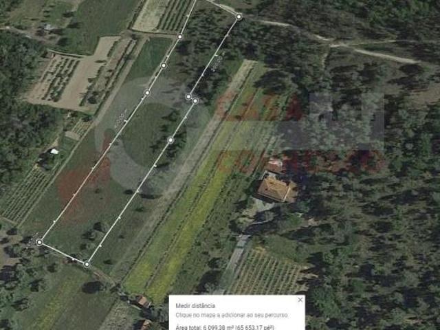 Terreno venda em Arganil