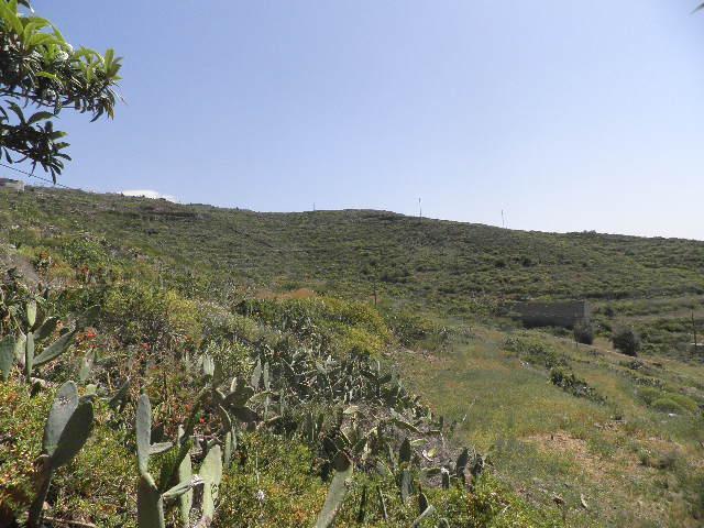 Terreno en venta en La orotava, Canarias