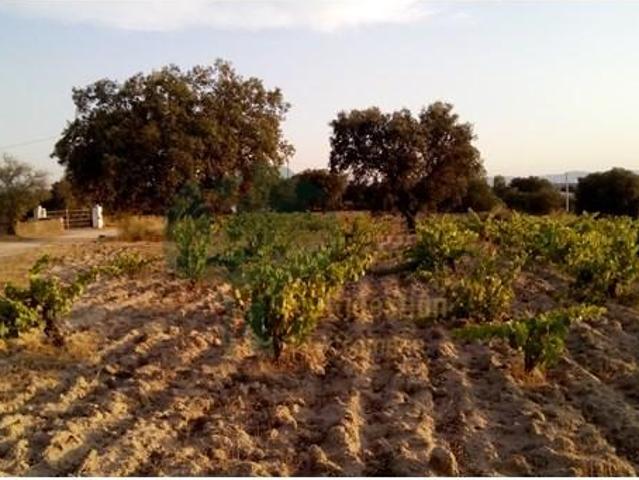 Terreno en venta en Arroyo De La Luz, Extremadura