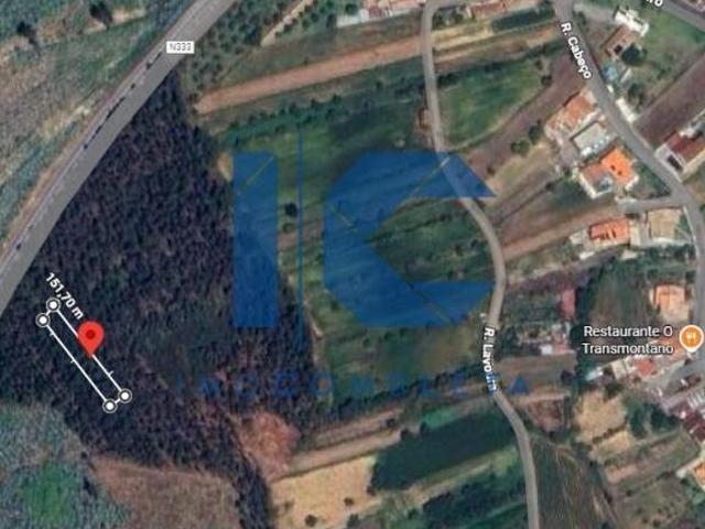 Terreno venda em Maçoida, Águeda