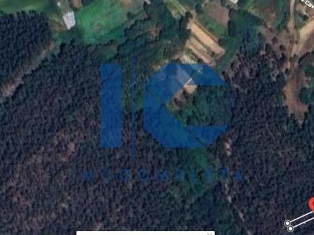 Terreno venda em Maçoida, Águeda