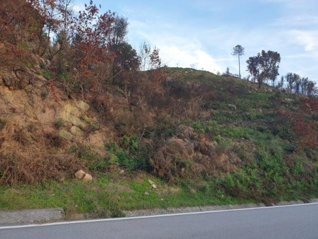 Terreno venda em Baião, Porto