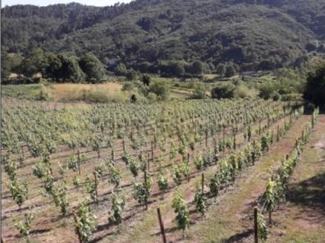 Terreno venda em Baião, Porto